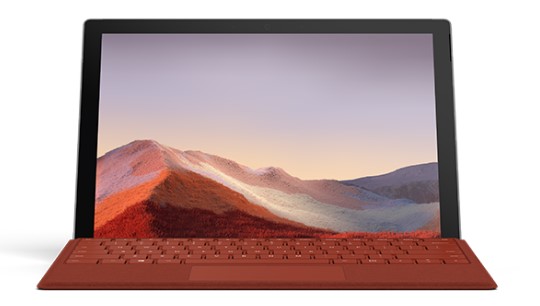 端州清洁和维护 Surface
